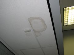 IMG_0585.JPG