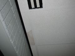 IMG_0586.JPG