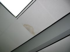 IMG_0589.JPG